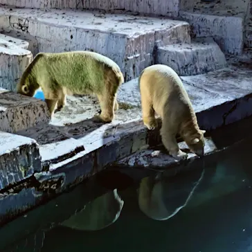 天王寺動物園に投稿された画像（2022/8/15）