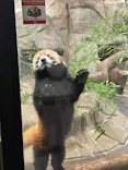 天王寺動物園に投稿された画像（2022/8/16）