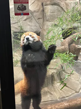 天王寺動物園に投稿された画像（2022/8/15）