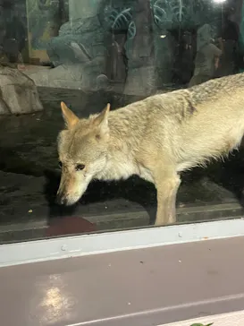 天王寺動物園に投稿された画像（2022/8/15）