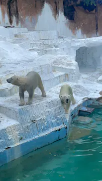 天王寺動物園に投稿された画像（2022/8/15）