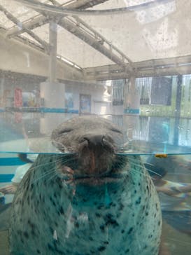 京都水族館に投稿された画像（2022/8/15）