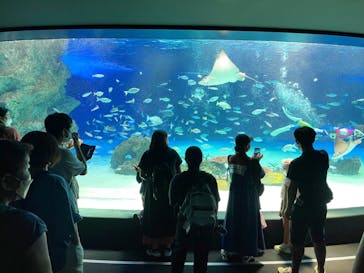 サンシャイン水族館に投稿された画像（2022/8/15）