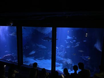 マリンワールド海の中道に投稿された画像（2022/8/15）