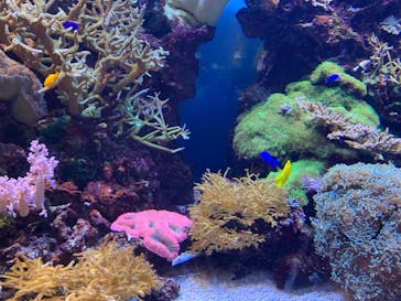 マリンワールド海の中道に投稿された画像（2022/8/15）