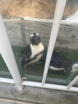 マリンワールド海の中道に投稿された画像（2022/8/15）