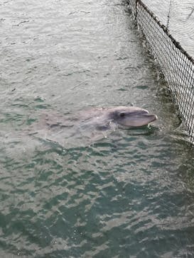 伊豆・三津シーパラダイスに投稿された画像（2022/8/15）