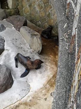 伊豆・三津シーパラダイスに投稿された画像（2022/8/15）