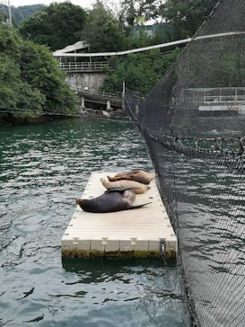 伊豆・三津シーパラダイスに投稿された画像（2022/8/15）