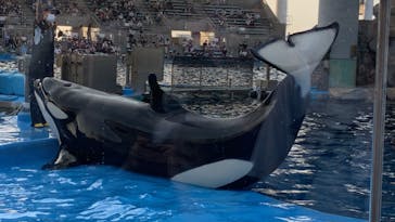 名古屋港水族館に投稿された画像（2022/8/15）