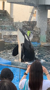 名古屋港水族館に投稿された画像（2022/8/15）