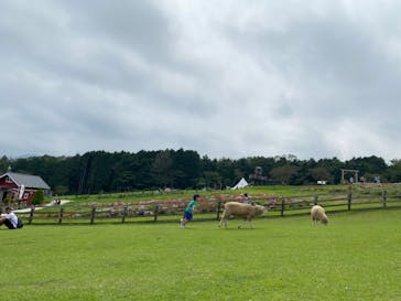 まかいの牧場に投稿された画像（2022/8/16）