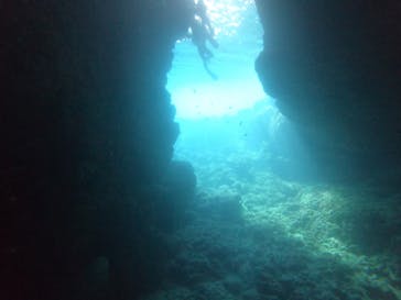 武藤潜水に投稿された画像（2022/8/16）