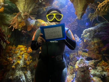 サンシャイン水族館に投稿された画像（2022/8/16）