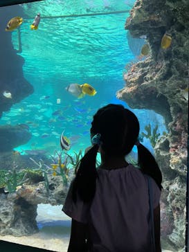 サンシャイン水族館に投稿された画像（2022/8/16）