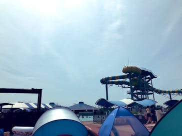 蓮沼ウォーターガーデンに投稿された画像（2022/8/16）