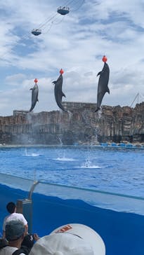 名古屋港水族館に投稿された画像（2022/8/16）