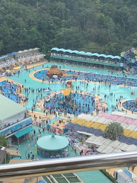 日本モンキーパークに投稿された画像（2022/8/16）