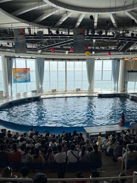 アクアワールド茨城県大洗水族館に投稿された画像（2022/8/16）