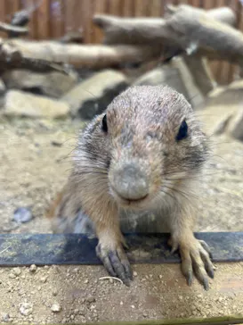 神戸どうぶつ王国に投稿された画像（2022/8/16）