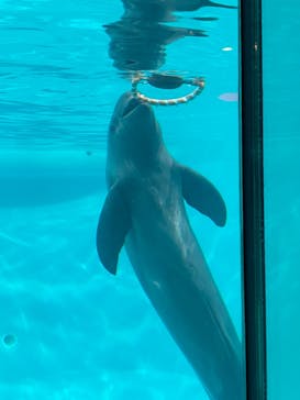 マリンワールド海の中道に投稿された画像（2022/8/16）