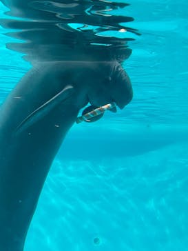 マリンワールド海の中道に投稿された画像（2022/8/16）