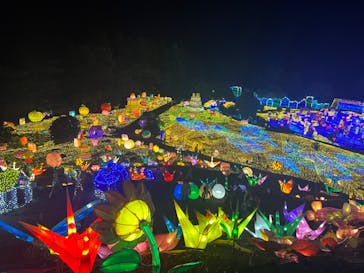 伊豆ぐらんぱる公園に投稿された画像（2022/8/16）