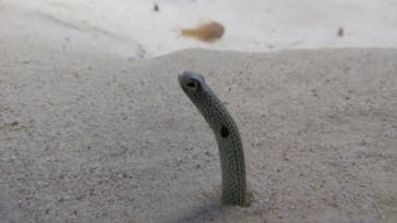 アクアワールド茨城県大洗水族館に投稿された画像（2022/8/16）