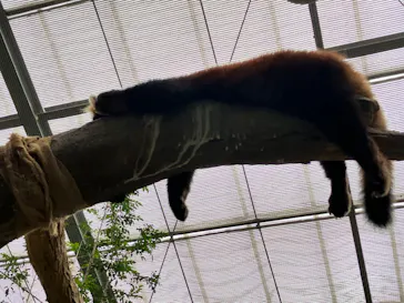 神戸どうぶつ王国に投稿された画像（2022/8/16）