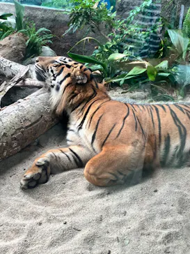 神戸どうぶつ王国に投稿された画像（2022/8/16）