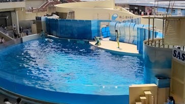 新江ノ島水族館に投稿された画像（2022/8/16）
