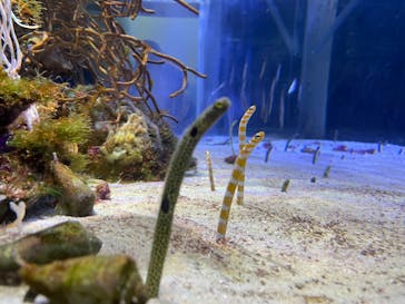 名古屋港水族館に投稿された画像（2022/8/16）