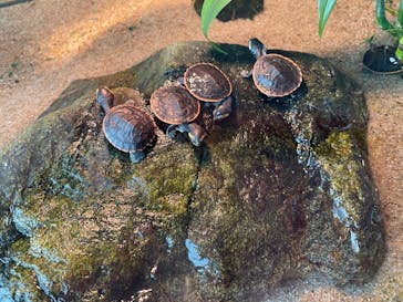 名古屋港水族館に投稿された画像（2022/8/16）