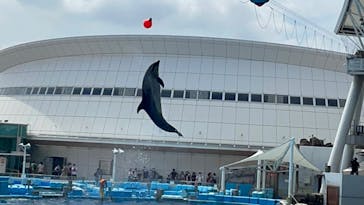 名古屋港水族館に投稿された画像（2022/8/16）