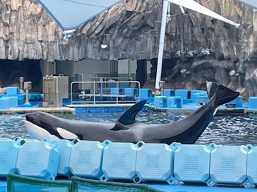 名古屋港水族館に投稿された画像（2022/8/16）