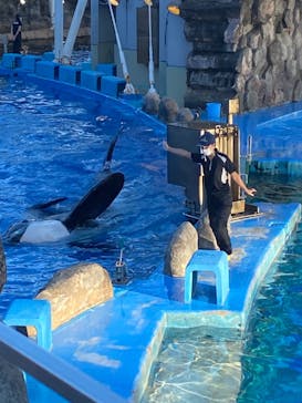 名古屋港水族館に投稿された画像（2022/8/16）