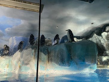 名古屋港水族館に投稿された画像（2022/8/16）