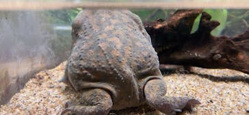 サンシャイン水族館に投稿された画像（2022/8/16）