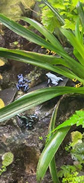 サンシャイン水族館に投稿された画像（2022/8/16）