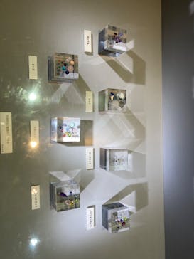 特別展「宝石　地球がうみだすキセキ」（名古屋市科学館　理工館地下２階イベントホール）に投稿された画像（2022/8/16）