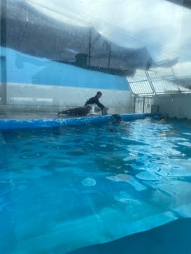 南知多ビーチランド＆南知多おもちゃ王国に投稿された画像（2022/8/16）