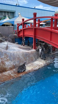 南知多ビーチランド＆南知多おもちゃ王国に投稿された画像（2022/8/16）