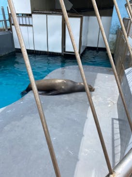 南知多ビーチランド＆南知多おもちゃ王国に投稿された画像（2022/8/16）