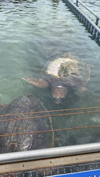 南知多ビーチランド＆南知多おもちゃ王国に投稿された画像（2022/8/16）