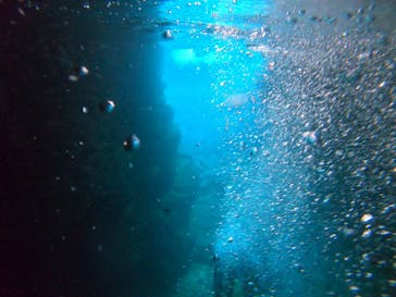 武藤潜水に投稿された画像（2022/8/16）