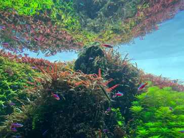 すみだ水族館に投稿された画像（2022/8/16）