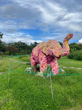 野外民族博物館 リトルワールドに投稿された画像（2022/8/16）