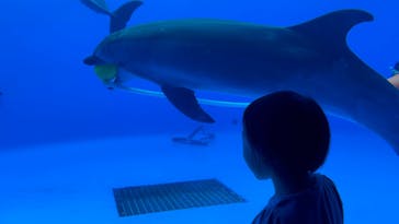 九十九島水族館海きららに投稿された画像（2022/8/16）