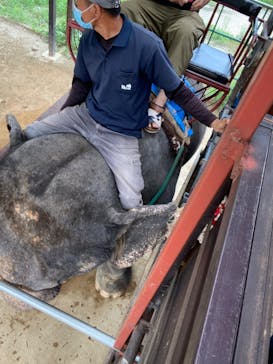 那須サファリパークに投稿された画像（2022/8/16）