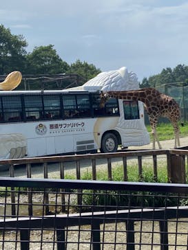 那須サファリパークに投稿された画像（2022/8/16）